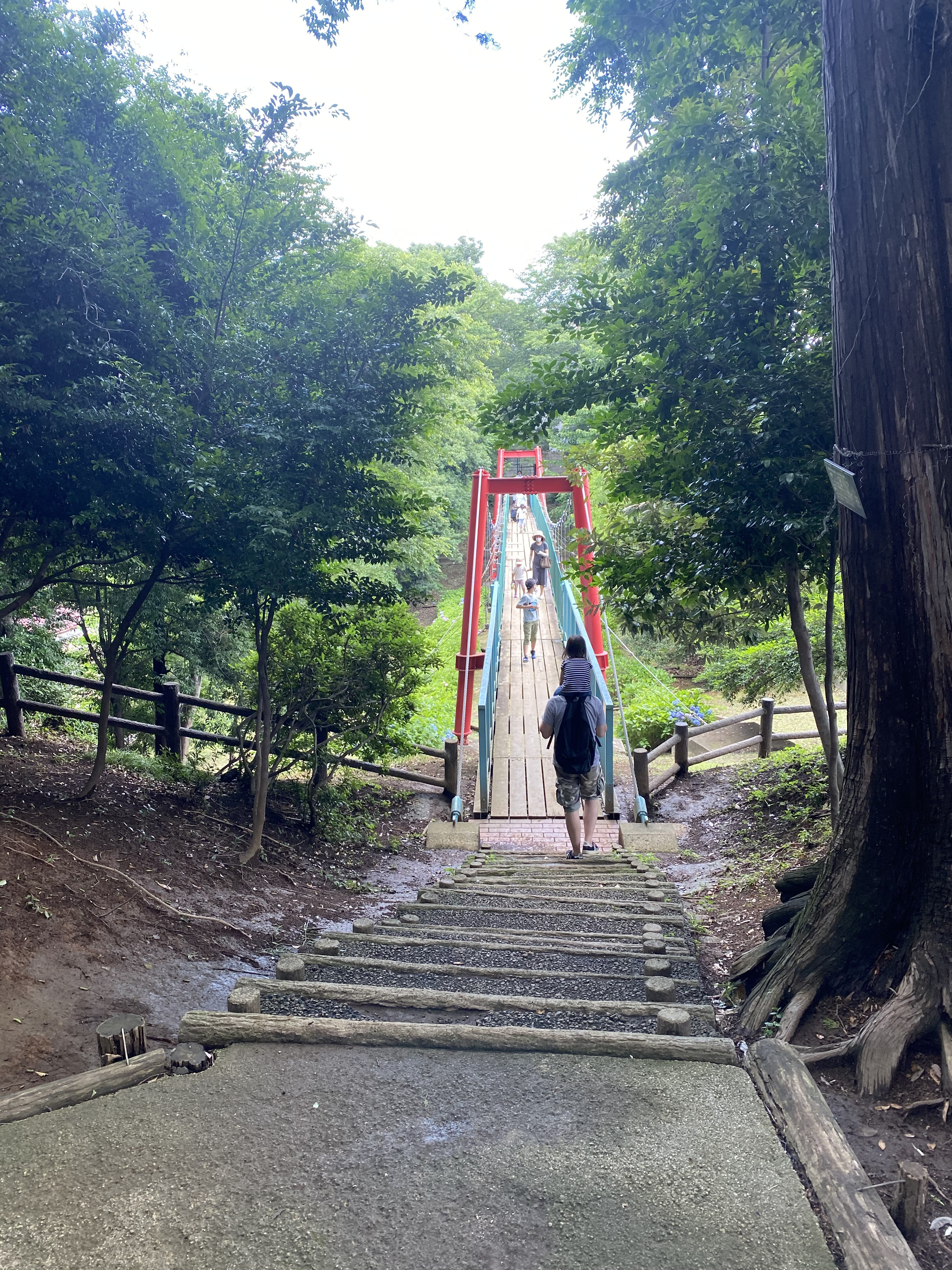 滝の根公園 吊り橋